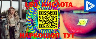 молекула духа Тверь