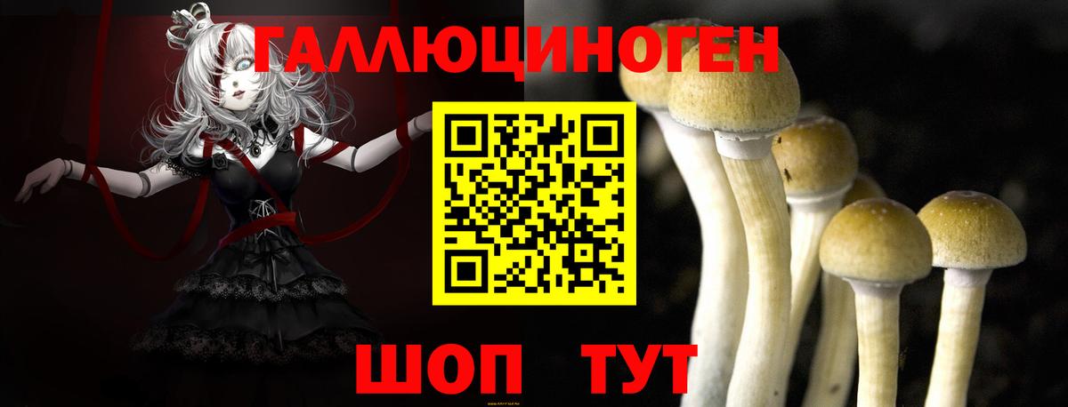 Галлюциногенные грибы Psilocybe  Вход с VPN  Псилоцибиновые грибы Psilocybine cubensis  Моздок 